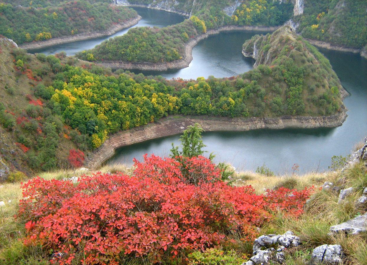 B&B Hisar International Prijepolje 外观 照片